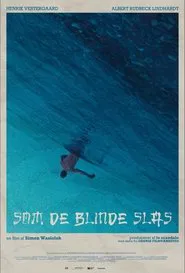 Brawling in Blindspots movie poster