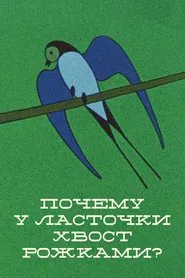 Why the Swallow's Tail Is Double? movie poster