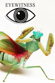Poster da série Olho Vivo