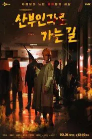 산부인과로 가는길 tv show poster
