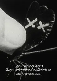 Concerning Flight: Five Illuminations In Miniature movie poster