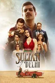 Sultan Of Delhi tv show poster