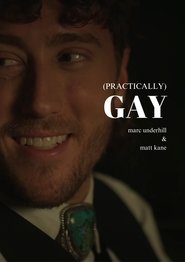 (Practically) Gay movie poster