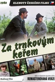 Behind the Sloe-Bush movie poster