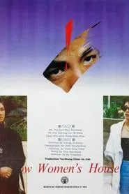 The Home of Two Women movie poster