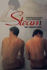 Steam: The Turkish Bath movie poster