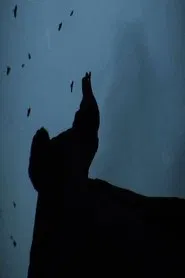 Poster do filme Waltz