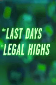 Poster do filme The Last Days of Legal Highs