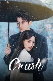 Crush tv show poster
