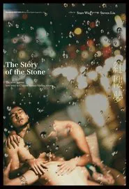 The Story of the Stone movie poster