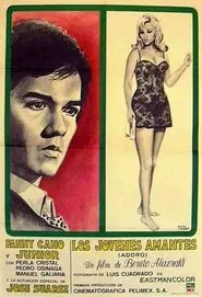 Poster do filme Los jóvenes amantes