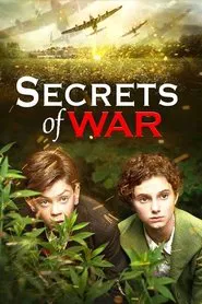 Poster do filme Secrets of War