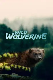Poster do filme Wild Wolverine