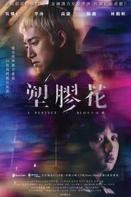 A Perfect Blossom tv show poster