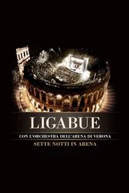 Ligabue Sette Notti In Arena movie poster