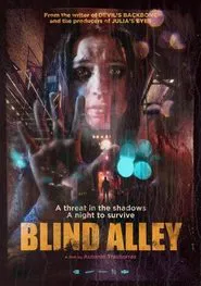 Poster do filme Blind Alley