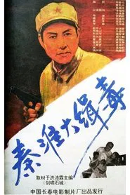 Seize Drg Smugglers in Qin Huai movie poster