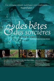 Des bêtes et des sorcières tv show poster