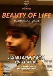 Beauty of Life movie poster