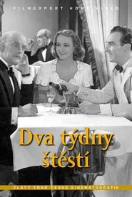 Dva týdny štěstí movie poster