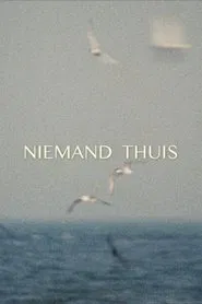 Poster do filme Nobody Home