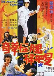The Marvelous Kung Fu movie poster