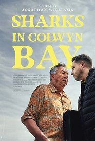 Sharks in Colwyn Bay movie poster