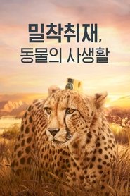 밀착취재, 동물의 사생활 tv show poster