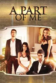 The Day My Destiny Is Written tv show poster