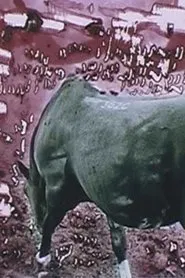 Poster do filme ORIFSO