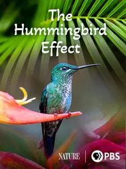 The Hummingbird Effect movie poster