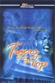 Tigers at Top movie poster