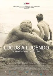 Lucus a Lucendo - A proposito di Carlo Levi movie poster