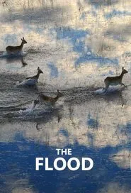 The Flood tv show poster