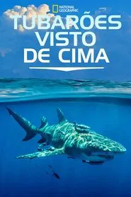 Poster do filme Tubarões Visto de Cima