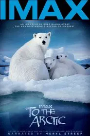 Poster do filme To the Arctic 3D