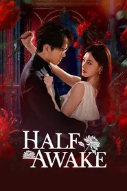 Half-awake tv show poster