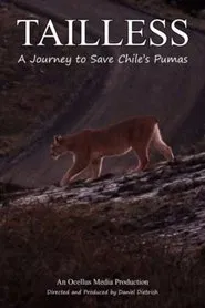 Tailless movie poster