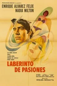 Labyrinth of Passion movie poster