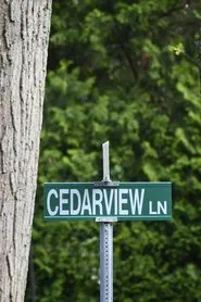 Cedarview movie poster