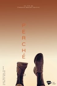 Perché movie poster