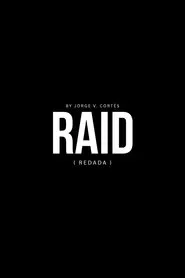 Raid movie poster