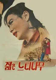 A Young Zelkova movie poster