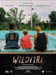 Poster do filme Wildfire