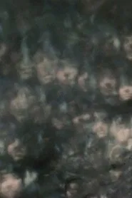 Self Portrait with Bag movie poster