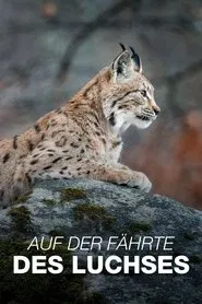 Sur la piste du lynx movie poster
