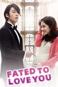 Fated to Love You tv show poster