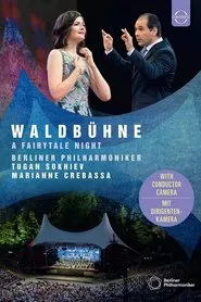 Waldbühne 2019: A Fairytale Night movie poster