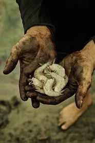 Petroleo movie poster