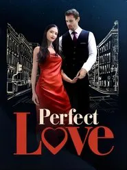 Perfect Love tv show poster